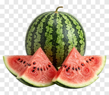 Fresh Watermelon Slices PNG