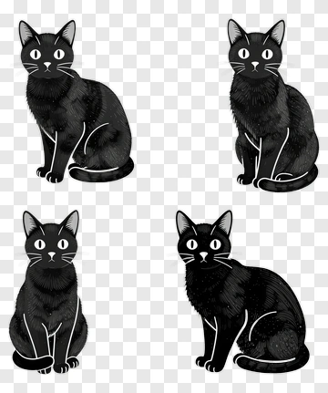 Black Cats Sitting PNG