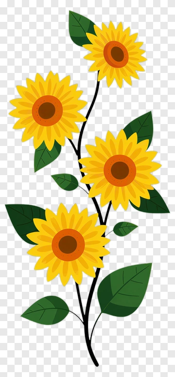 Sunflower With Green Leaves PNG