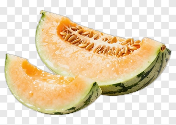 Fresh Melon Slices PNG