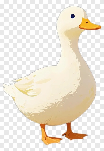 White Duck In Garden PNG