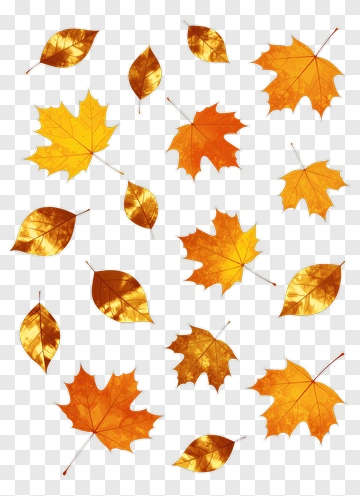 Autumn Leaves In Warm Tones PNG