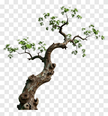 Bonsai Tree Sculpture With Green Leaves PNG