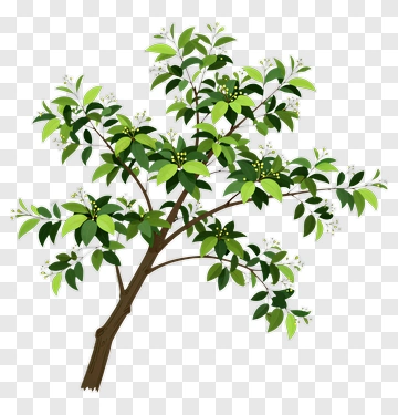 Tree With Green Leaves And Yellow Flowers PNG
