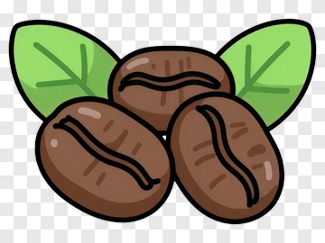 Coffee Bean With Leaf PNG