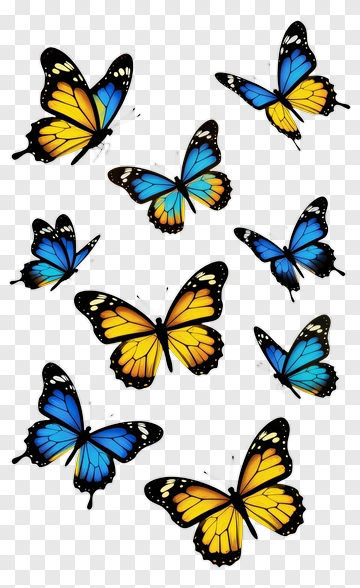 Blue And Yellow Butterflies PNG
