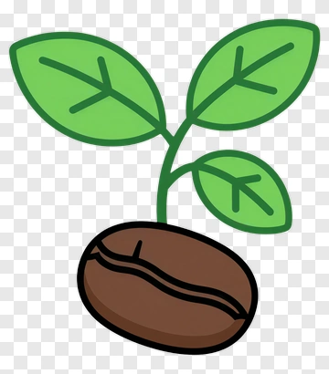 Coffee Bean Plant PNG