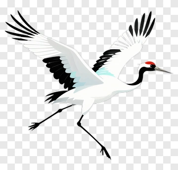 White Crane In Flight PNG