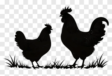 Silhouette Of Rooster And Hen PNG