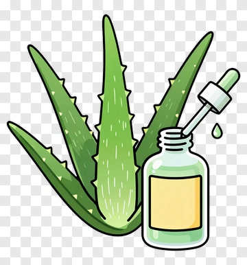 Aloe Vera Bottle With Dropper PNG