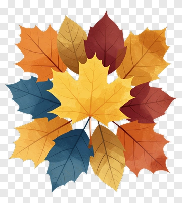 Autumn Leaves In Vibrant Colors PNG