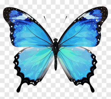 Blue Butterfly With Black Edges PNG