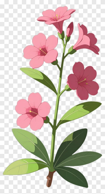 Pink Flower With Green Leaves PNG