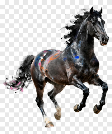 Dynamic Horse With Splashes PNG