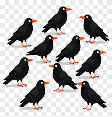 Group Of Cartoon Crows PNG