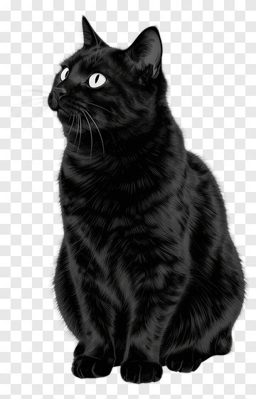 Black Cat Sitting PNG