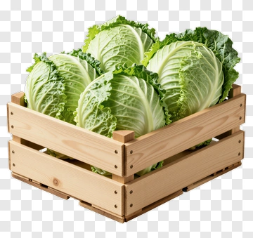 Fresh Cabbage In Wooden Crate PNG