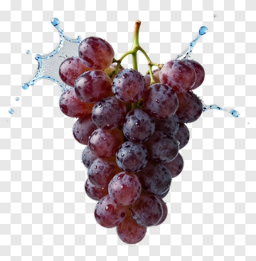 Cluster Of Fresh Purple Grapes With Water Splash PNG