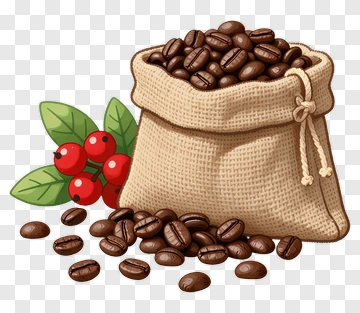 Coffee Beans In Sack With Berries PNG