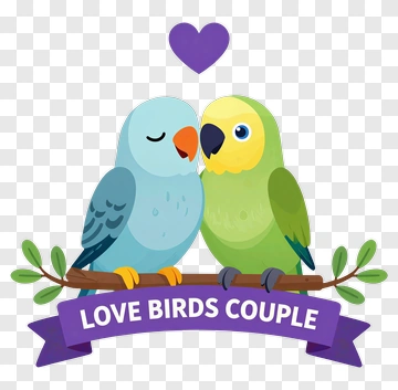 Love Birds Couple PNG