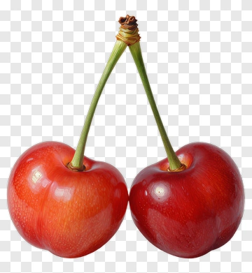 Two Cherries With Stems PNG