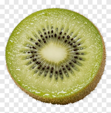 Sliced Kiwi Fruit PNG