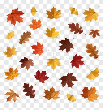 Autumn Leaves Collection PNG