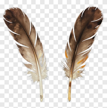 Two Feathers With Soft Watercolor Texture PNG