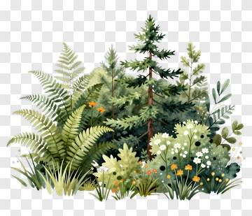 Watercolor Forest Scene With Ferns And Flowers PNG