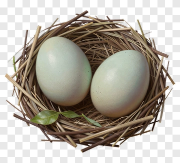 Two Eggs In A Nest With Leaf PNG