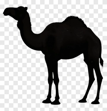 Black Camel Silhouette PNG