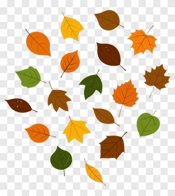 Fall Leaves Collection PNG