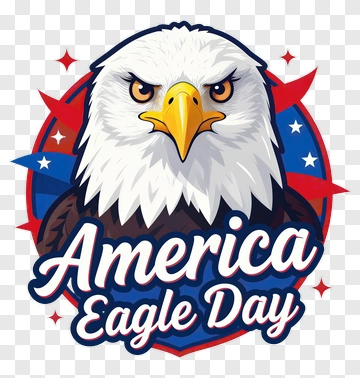 America Eagle Day Bald Eagle PNG