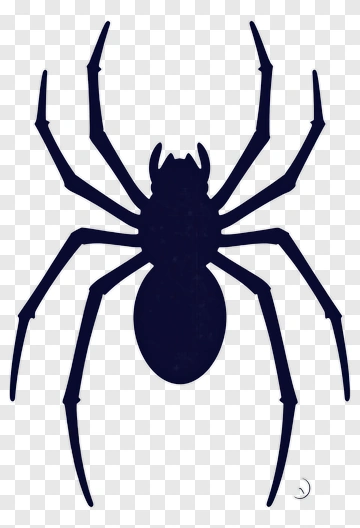 Spider Silhouette PNG