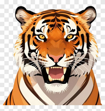Tiger Portrait PNG