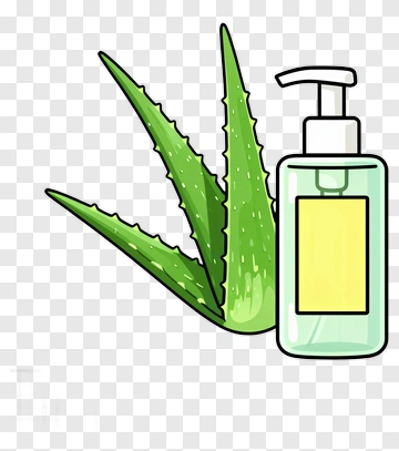 Aloe Vera Plant And Lotion Bottle PNG