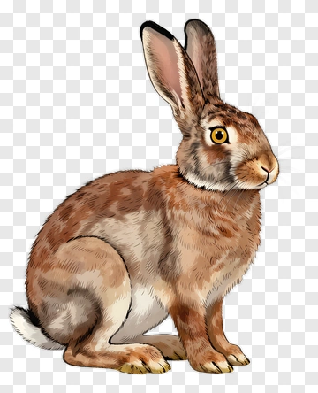 Realistic Rabbit Illustration PNG