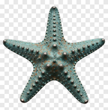 Blue Starfish With Orange Spots PNG