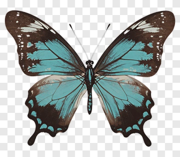 Blue And Brown Butterfly PNG