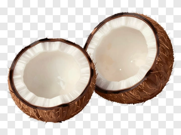 Split Coconut PNG