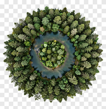 Circular Forest Island With Water PNG