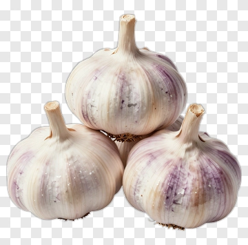 Fresh Garlic Bulbs PNG