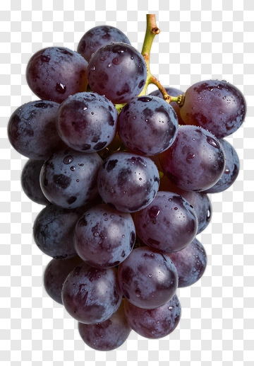 Purple Grape Cluster PNG