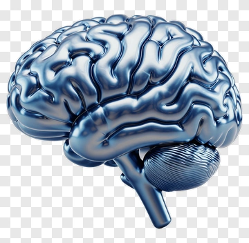 Metallic Brain PNG