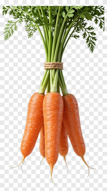 Fresh Carrots With Green Tops PNG