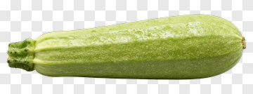 Fresh Zucchini With Green Skin PNG