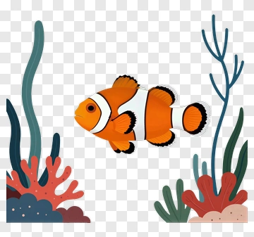 Clownfish In Coral Reef PNG