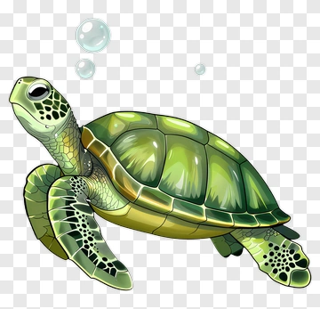 Sea Turtle Swimming With Bubbles PNG