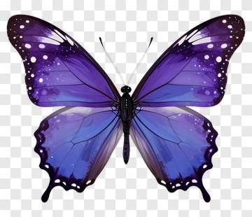 Purple And Blue Butterfly PNG