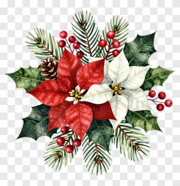 Christmas Floral Arrangement With Poinsettia And Holly PNG